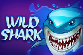 Wild Shark